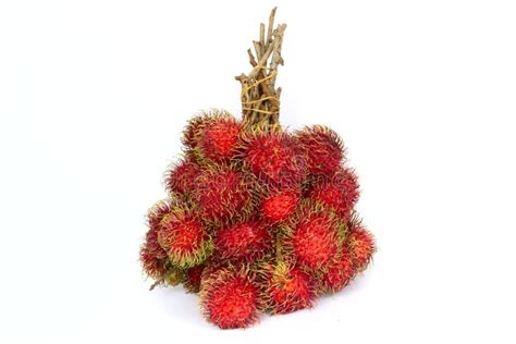 Close Up A Bunch Of Delicious Red Rambutan From Rambutan Tree Isolated