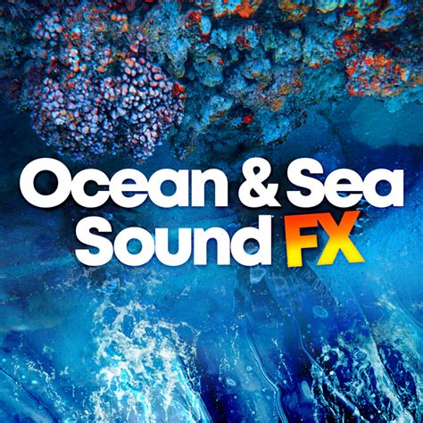 Ocean Sea Sound Fx Album By Deep Sleep Ocean Sounds Spotify