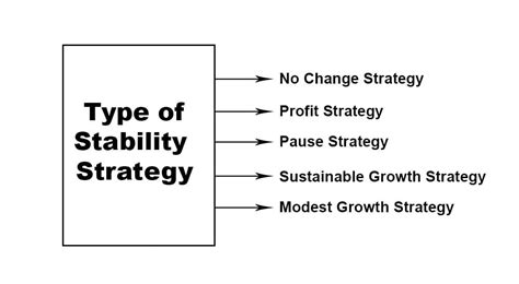 Stability Strategy Definition Types And Examples Parsadi