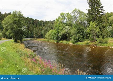 Otava River, Czech Republic Stock Photo - Image of stream, grass: 97450834