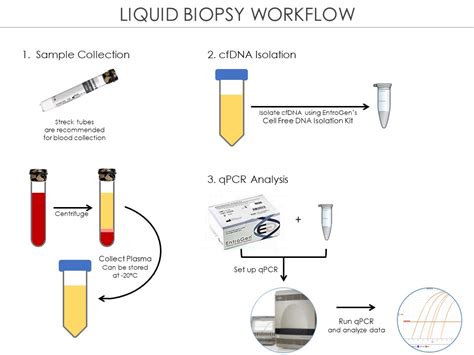 Ctdna Egfr Mutation Detection Kit Entrogen Inc