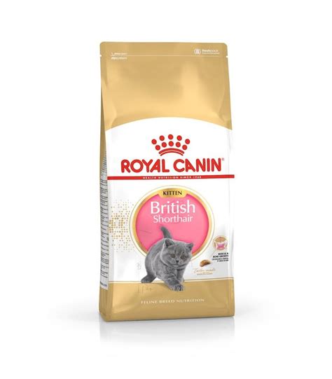 Royal Canin Karma Sucha Dla Koci T Kota Brytyjskiego Kr Tkow Osego