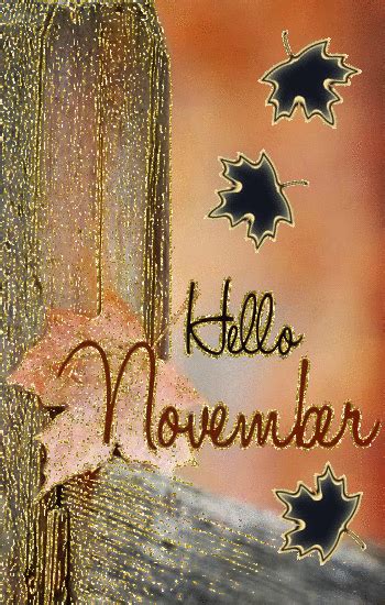 Hello November Pictures Photos And Images For Facebook Tumblr