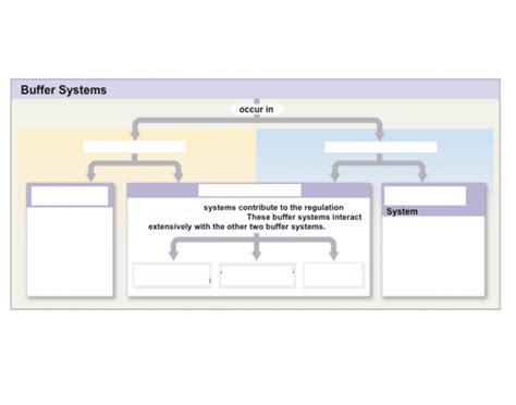 buffer systems quiz