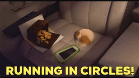 Run In Circles Gifs Get The Best On Giphy