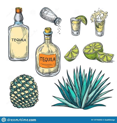 Bottiglia Di Tequila Vetro Sparato E Radice Dell Agave Illustrazione