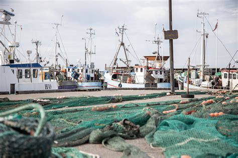 Gilleleje fiskere ryster på hovedet af DN kampagne Fiskeri Tidende