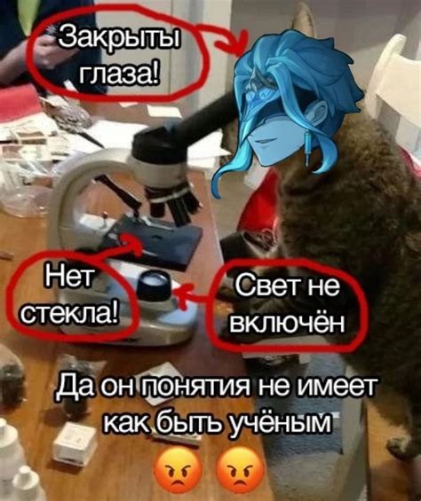 учёный на хую верчёный | Мемы, Ученые, Рабочие приколы