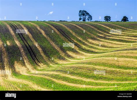 undulating slope  res stock photography  images alamy