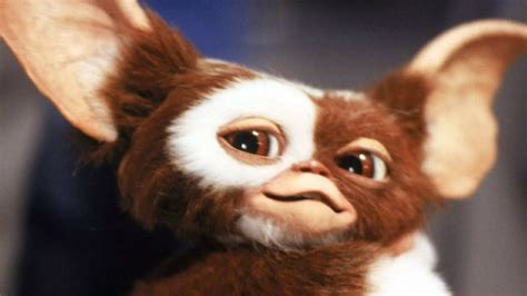 Dont Feed Them After Midnight Gremlins Comes Back To Select Kptv