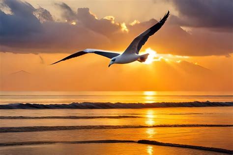 Una gaviota vuela sobre el océano al atardecer Foto Premium