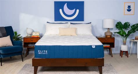 Exploring The Top Rated Mattresses KULFIY