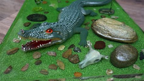 Wild Crocodile In Epoxy Diorama Youtube