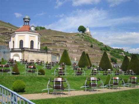 Kurzwandertour am Sächsischen Weinwanderweg Sächsischer Weinwanderweg