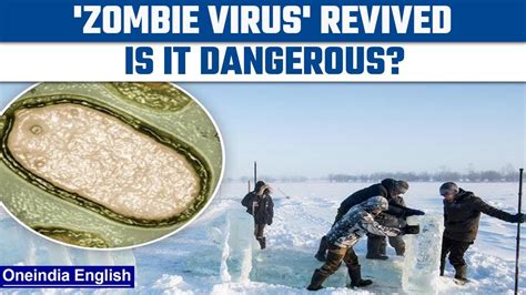 Scientists Revive 48 500 Year Old Zombie Virus Buried In Ice