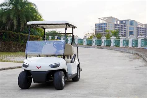 Newest Design Club Car Golf Cart Lifted Suspension Lithium Battery