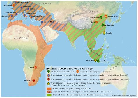 Homo Erectus Map Maps Of Human Migrations Pinterest