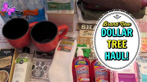 Dollar Tree Haul Amazing New Finds January 10 2020 Leighshome