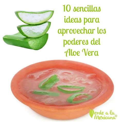 10 ideas para aprovechar los beneficios del aloe vera con imágenes