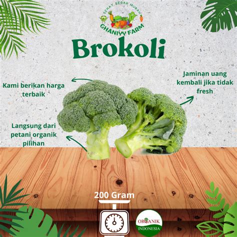 Jual Sayur Organik Brokoli Hijau Segar Fresh Sehat Alami Rendah