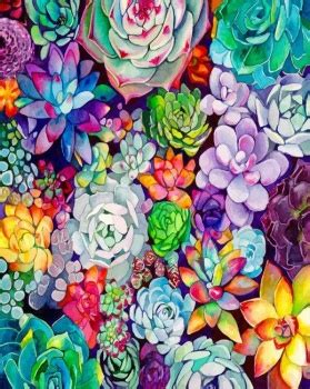 Solve Succulents Jigsaw Puzzle Online With Pieces