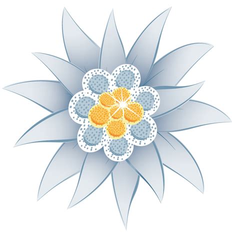 Edelweiss Png