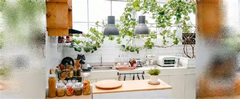 9 Potret Dapur Mungil Tanpa Kitchen Set Ini Estetiknya Unik Bikin