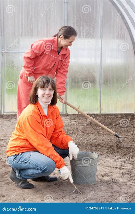 As Mulheres Felizes Trabalham Na Estufa Imagem De Stock Imagem De