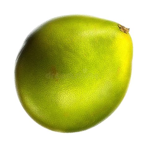 Green Pomelo Citrus Fruit Isolated On White Background With Clipping