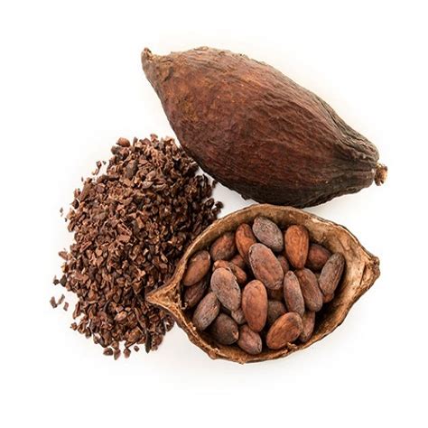 Best Cacao Beans Dried Criollo Cocoa Beans Dried Fermented Cacao