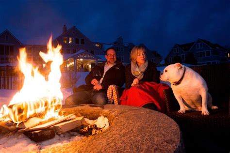 The Best Pet-Friendly Hotels In Portland, Maine