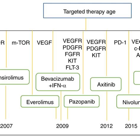 Timeline For Exploration Of Metastatic Renal Cell Cancer Treatment Download Scientific Diagram