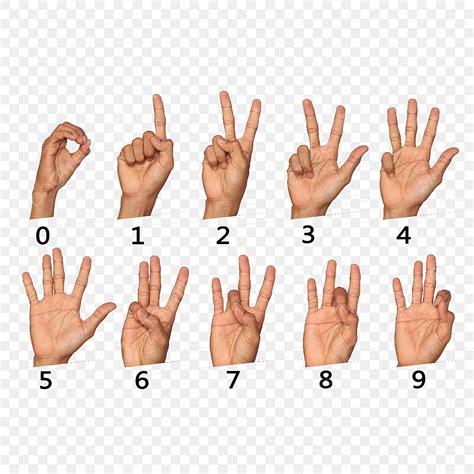 Best Ideas For Coloring Sign Language Numbers The Best Porn Website