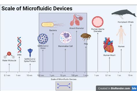 Microfluidics Doing More With Less Part 1 UC Davis Biotechnology