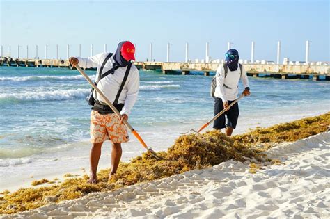 La Jornada Maya Quintana Roo La Jornada Maya Solidaridad Mantiene Playas Atractivas En