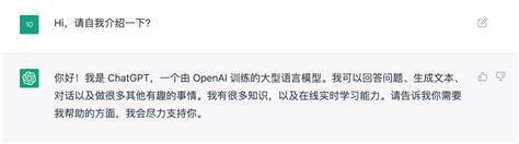 迪赛智慧数与chatgpt对话：且看火爆全网的chatgpt如何看待数据可视化的发展 迪赛智慧数