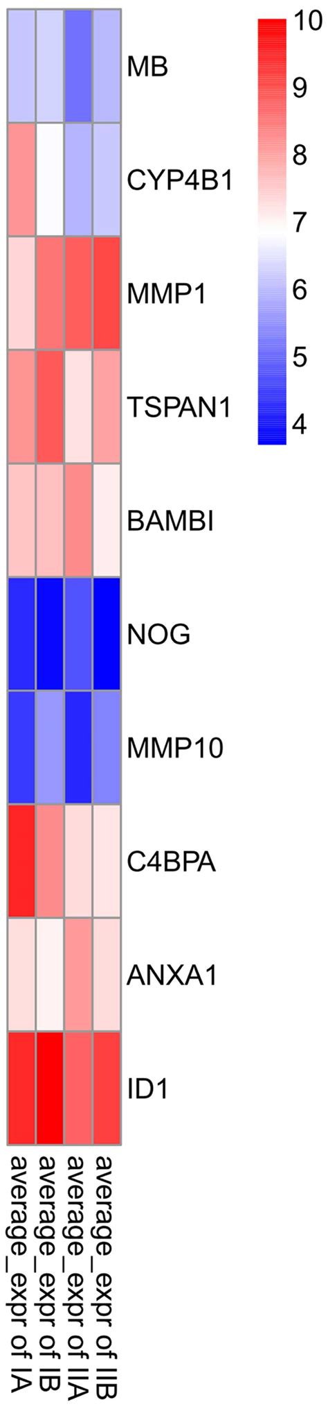 Identification Of Mirnas And Differentially Expressed Genes In Early