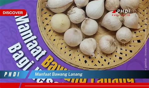 Temukan 7 Manfaat Bawang Lanang Yang Wajib Kamu Intip