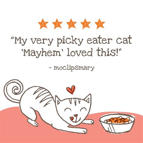 Muse by Purina Natural Gravy Wet Cat Food, MasterPieces Duck Recipe ...