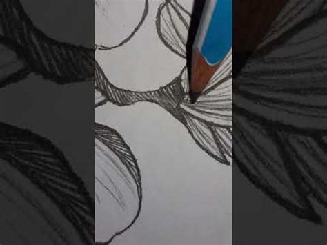 Pencil Shading Drawing Of Flowers In My Style Youtube