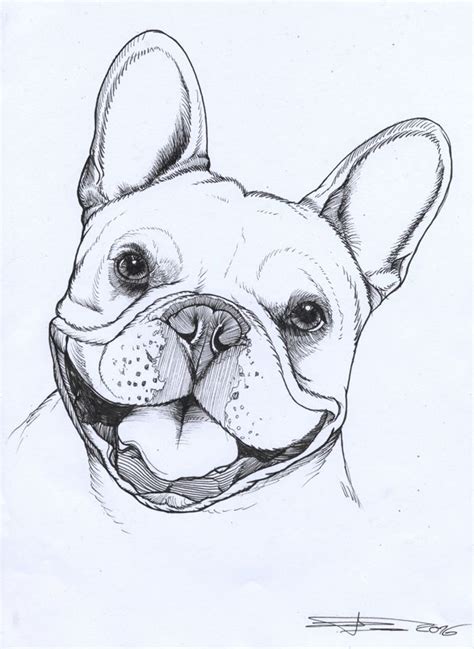 Frenchie French Bulldog Pet Portrait Dog Portrait Teunen French