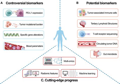 Frontiers Advances In Efficacy Prediction And Monitoring Of