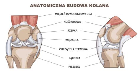 B L Kolana Stawu Kolanowego Objawy Przyczyny I Leczenie