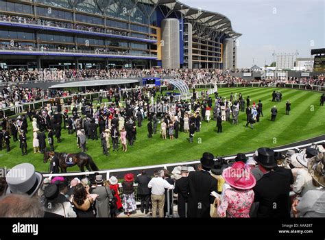 Winners Enclosure Ascot Hi Res Stock Photography And Images Alamy