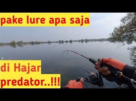 Pakai Lure Apa Saja Pasti Di Makan Ikan Predator Tambak Mini Popper