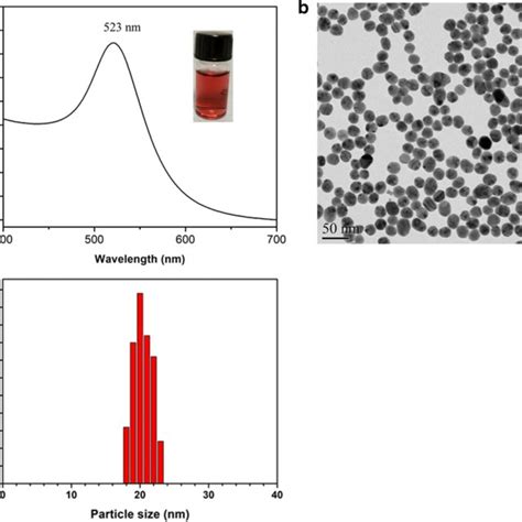 Characterization Of The Synthesized Aunps The Uv Vis Spectrum Of Aunps