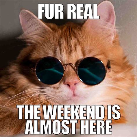 70 Funniest Friday Memes And Best T Meme For The Weekend Funny