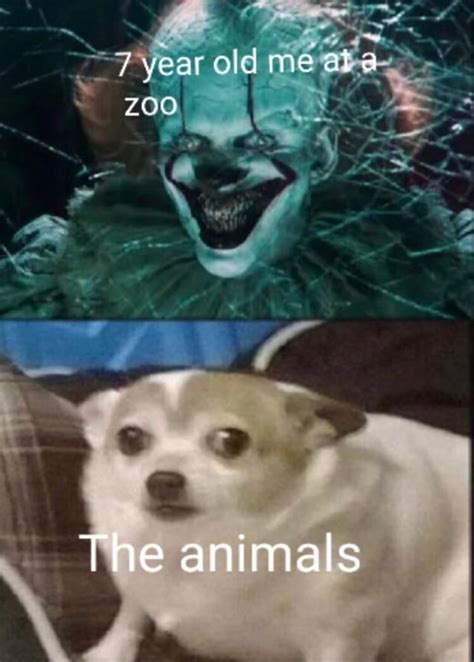 The best Zoo memes :) Memedroid