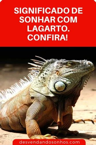 O Que Significa Sonhar Muitos Lagartos Descubra Agora