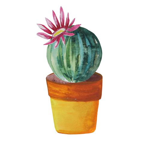 Flowering Cactus In A Pot 9974258 PNG